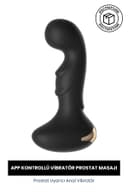 Uygulama Kontrollu Anal Vibratör Prostat Uyarıcı Anal Vajinal Unisex Vibratör 1